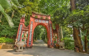 Những bước chân tìm về nguồn cội