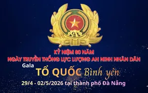 Các hoạt động tại chuỗi sự kiện "Tổ quốc bình yên" Đà Nẵng 2026