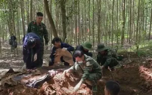 Phát hiện thêm hài cốt liệt sĩ tại Bãi Dinh, Quảng Trị