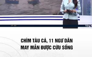 Chìm tàu cá ,11 ngư dân may mắn được cứu sống