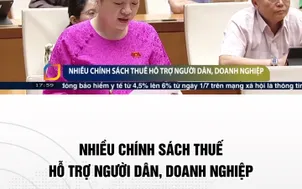 Nhiều chính sách thuế hỗ trợ người dân,doanh nghiệp