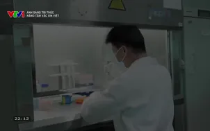 Ánh sáng tri thức: Nâng tầm Vắc xin Việt