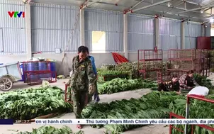 Giảm nghèo từ những mô hình sinh kế bền vững 