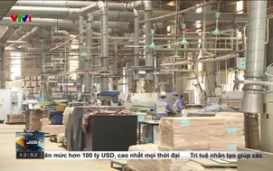 Việt Nam có tiềm năng tăng trưởng tích cực trong dài hạn