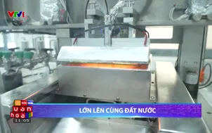 Lớn lên cùng đất nước