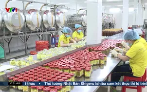 Nâng tầm sản phẩm OCOP kết nối thị trường