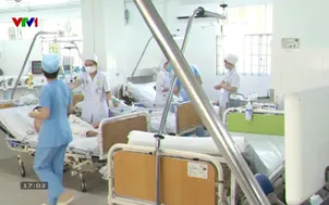 Cảnh báo ngộ độc so biển