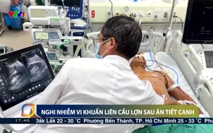 Nghi nhiễm vi khuẩn liên cầu lợn sau ăn tiết canh