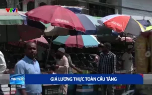 Giá lương thực toàn cầu tăng