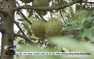 Miễn thuế sử dụng đất nông nghiệp đến hết năm 2030 