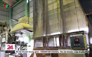 Cơn sốt matcha khiến các nông trại trà Nhật Bản quá tải