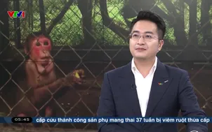 Ngày mới bảo vệ động vật hoang dã