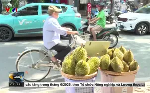 Áp lực cạnh tranh của nông sản Việt ngay trên sân nhà