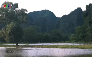 Vải thiều Lục Ngạn
