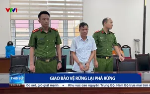 Giao bảo vệ rừng lại phá rừng