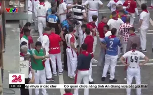 Tây Ban Nha: 5 người bị thương trong cuộc đua với bò tót