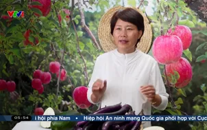 Đổi mới cách tiêu thụ nông sản của nông dân Trung Quốc