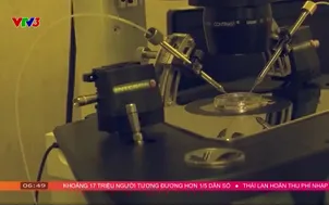Đột phá kĩ thuật "IVF ba cha mẹ" tại Anh