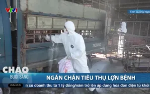 Ngăn chặn tiêu thụ lợn bệnh