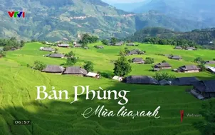 Bản Phùng - Mùa lúa xanh