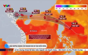 Bão Wipha đi nhanh, liên tục mạnh lên