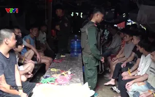 Bắt giữ 60 đối tượng khai thác vàng trái phép