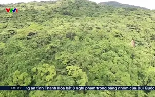 Côn Đảo nên xây nhà máy xử lý rác ở đâu?