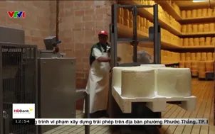 Ngành thực phẩm Châu Âu trước áp lực thuế của Mỹ