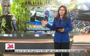 Thị trường Carbon trong kỷ nguyên mới giúp tăng thu nhập cho người dân