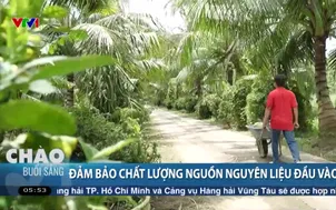 Đảm bảo chất lượng nguồn nguyên liệu đầu vào