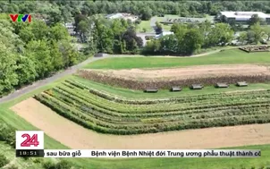 Một ngày trải nghiệm nông trại vùng ngoại ô tại Mỹ
