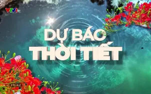 Bản tin thời tiết 19h45 - 20/7/2025
