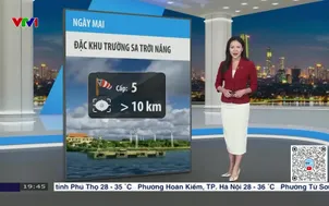 Bản tin thời tiết 19h45 - 30/7/2025