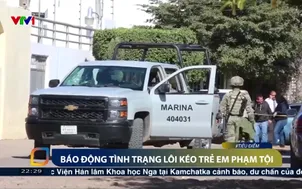 Báo động tình trạng lôi kéo trẻ em phạm tội