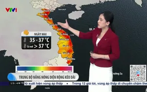 Bản tin thời tiết 19h45 - 01/8/2025