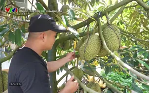 Công dân số - 01/8/2025