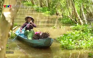 Công thức vịt tiềm của người Phong Điền