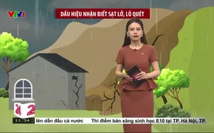 Bản tin thời tiết 11h30 - 01/8/2025