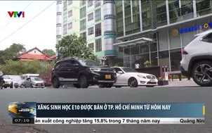 Xăng sinh học E10 được bán ở TP. Hồ Chí Minh từ hôm nay