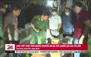 Liên tiếp triệt phá nhiều chuyên án ma túy, buôn lậu giá trị lớn