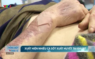Xuất hiện nhiều ca sốt xuất huyết tại Đà Lạt