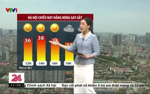 Bản tin thời tiết 11h30 - 03/8/2025