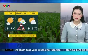 Bản tin thời tiết 5h30 - 03/8/2025