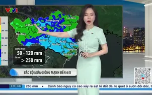 Bản tin thời tiết 19h45 - 03/8/2025