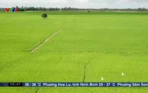 Làm nông thời công nghệ