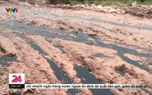 Khu xử lý rác thải gây ô nhiễm môi trường
