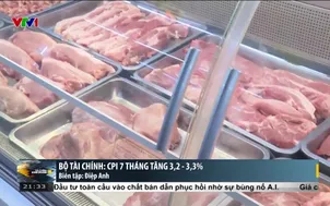 Bộ tài chính: CPI 7 tháng tăng 3,2 - 3,3%