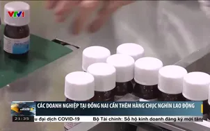 Các doanh nghiệp tại Đồng Nai cần thêm hàng chục nghìn lao động
