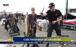 Cuộc thi vô địch cắt gỗ cho nữ