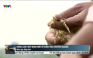 Hàng loạt quy định mới về kiểm tra chuyên ngành
